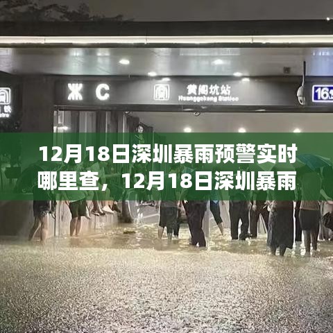 12月18日深圳暴雨预警实时查询及最新气象信息获取指南