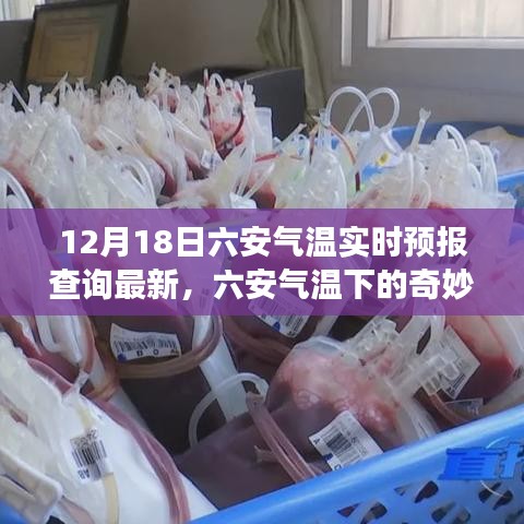 追寻内心的宁静与自然的馈赠，六安气温实时预报及气温下的奇妙探险