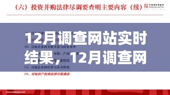 12月调查网站实时结果深度解析，背景、进展与影响全解析