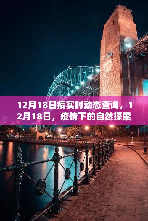 12月18日疫情下的自然探索之旅，寻找内心的宁静与远方美景的实时动态