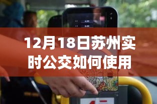 苏州实时公交系统详解，高效使用指南（12月18日版）