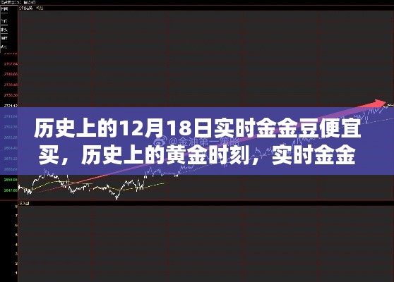 黄金时刻揭秘，实时金金豆超值购买指南与深度评测