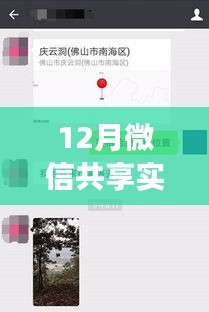 解密十二月微信实时位置共享，操作指南与注意事项