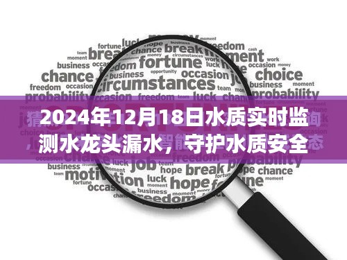 水龙头漏水事件，实时监测守护水质安全，启示与纪实（2024年）