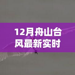 科技赋能生活，舟山台风最新实时智能监测系统全新升级报告