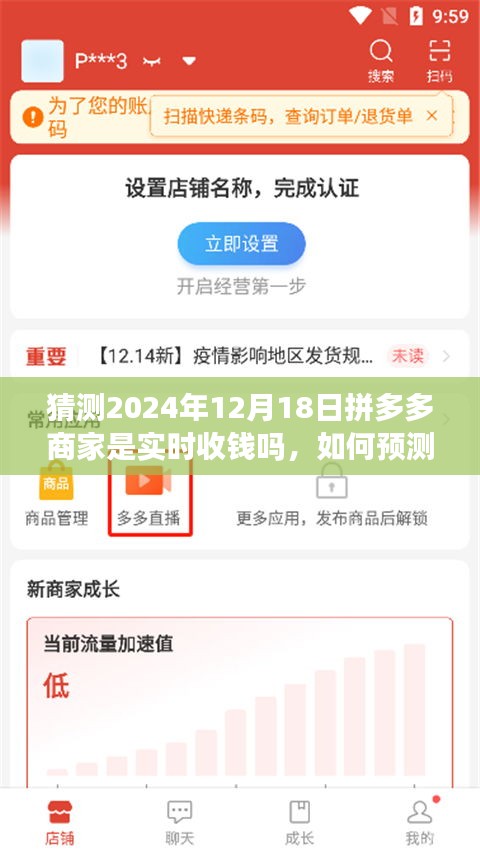 如何预测并了解拼多多商家实时收款状态（以2024年12月18日为例，实时收款功能解析）