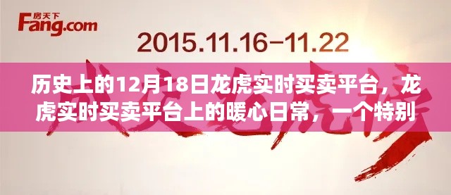 龙虎实时买卖平台，暖心日常的特别12月18日记忆