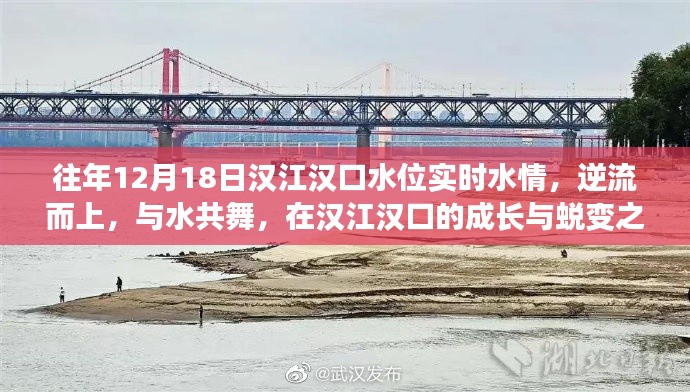 汉江汉口水情实时更新，逆流而上，见证成长与蜕变之旅