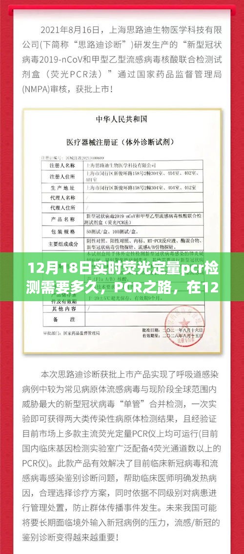 见证变化的力量与时间的魔法，实时荧光定量PCR检测之路在12月18日的探索之旅