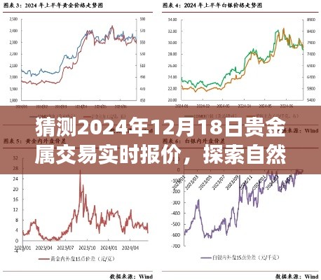 探索自然秘境与贵金属交易的心灵之旅，预测贵金属交易实时报价，揭秘未来贵金属市场走势（针对日期，2024年12月18日）