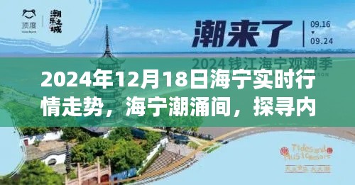 海宁潮涌与内心宁静之旅，2024年12月18日海宁实时行情与自然美景探索纪实