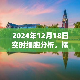 探秘科技秘境，实时细胞分析的奇妙之旅（2024年12月18日）