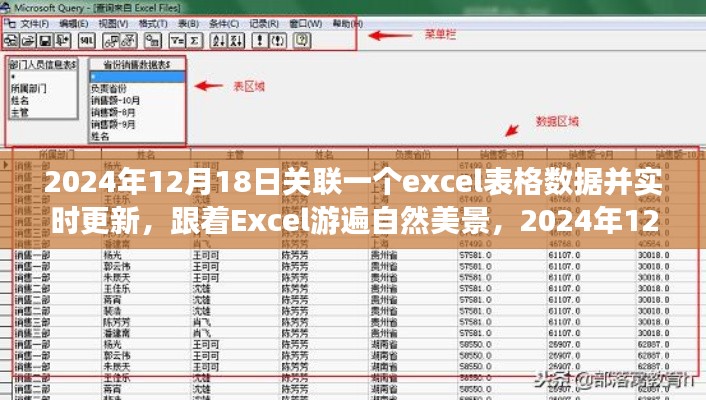 跟着Excel游遍自然美景，实时更新数据的心灵之旅（2024年12月）