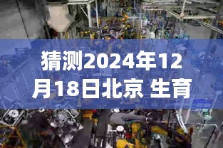 探秘北京生育实时结算特色小店，孕育新生之秘密之旅（2024年12月18日）