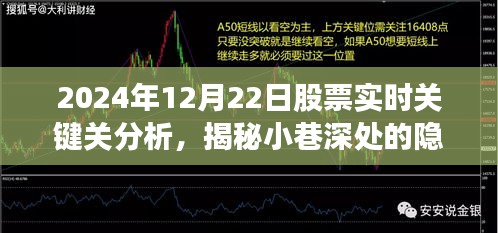 揭秘特色小店股票实时关键分析，2024年12月22日股市洞察与实时股票分析