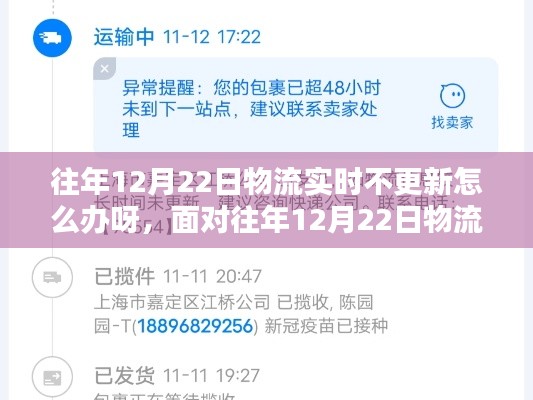 应对往年12月22日物流实时不更新的策略与解决方案