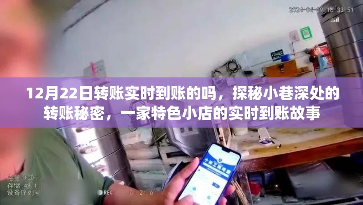 探秘小巷深处的转账秘密，一家特色小店的实时到账经历