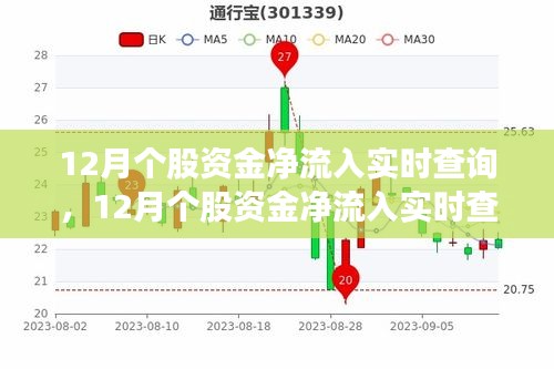 12月个股资金净流入实时查询产品全面评测与介绍