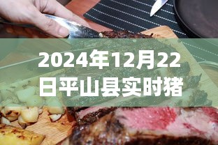 平山县特色猪肉店，探秘小巷深处的猪肉新鲜故事与实时价格（2024年12月22日）