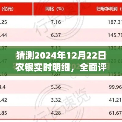 2024年农银实时明细产品评测，特性、体验与目标用户分析