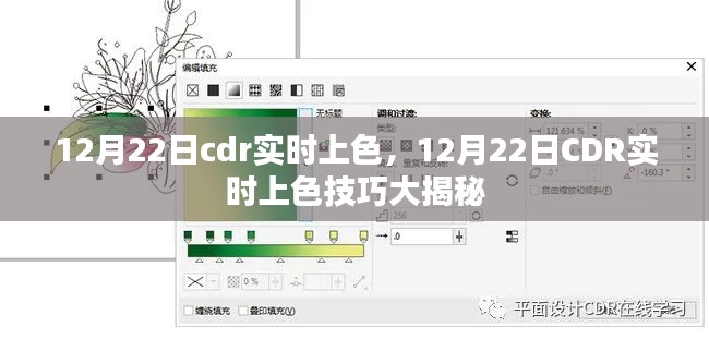 揭秘，CDR实时上色技巧大解密（12月22日专享）