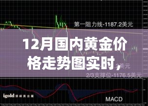 黄金走势揭秘，12月国内黄金价格动态与背后的故事，自信闪耀，成就无限可能