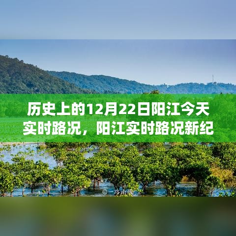 智能导航重塑交通体验，历史上的今天阳江实时路况回顾与未来展望