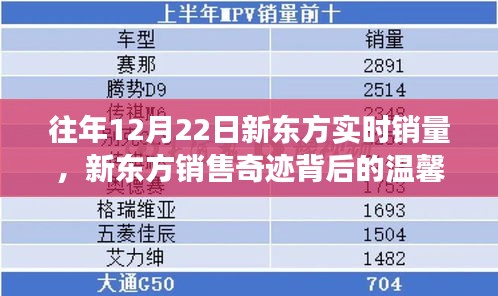 新东方冬至销售奇迹背后的温馨故事，历年12月22日实时销量揭秘