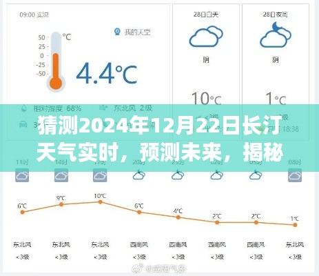 夯雀儿先飞