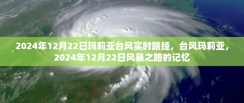 台风玛莉亚2024年12月22日实时路径追踪，风暴之路的记忆