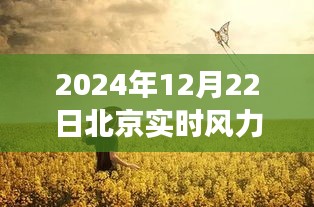 北京之风，探寻内心平静的旅程——2024年12月22日北京实时风力报告