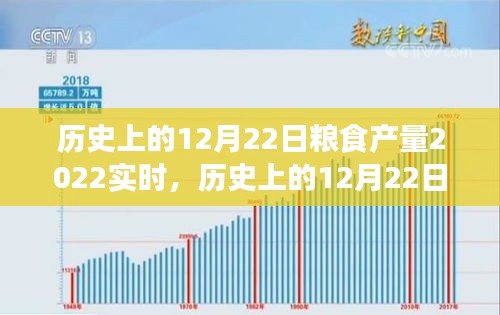 历史上的12月22日粮食产量实时洞察，探寻丰收的足迹与2022年粮食产量分析