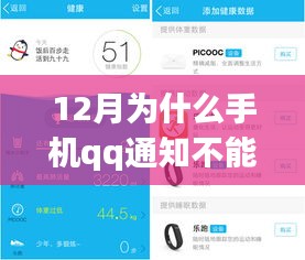 揭秘十二月手机QQ通知延迟真相，三大原因解析
