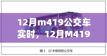 12月M419公交车实时信息及特性详解、用户体验与目标用户分析