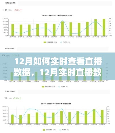 12月直播数据实时查看全面解析，产品特性、使用体验、竞品对比及用户群体深度探讨