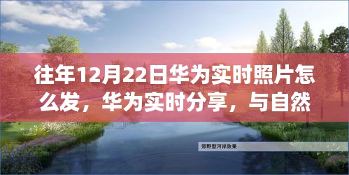 华为实时分享，与自然美景的邂逅，探索宁静之旅的实时照片分享之道