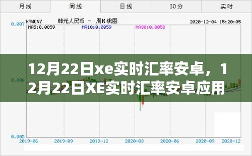 XE实时汇率安卓应用指南，从初学者到进阶用户的安装与使用详解