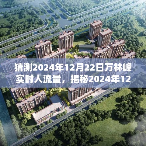 揭秘万林峰隐形魅力，2024年12月22日实时人流量与小巷特色小店探索。