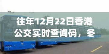 冬日暖阳下的公交奇遇，香港公交实时查询码的故事