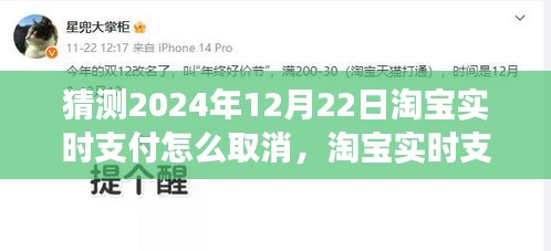 淘宝实时支付取消功能预测，操作指南、功能详解与未来展望（猜测至2024年12月）