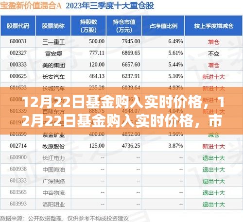 12月22日基金实时购入价格，市场走势下的投资机遇与挑战解析