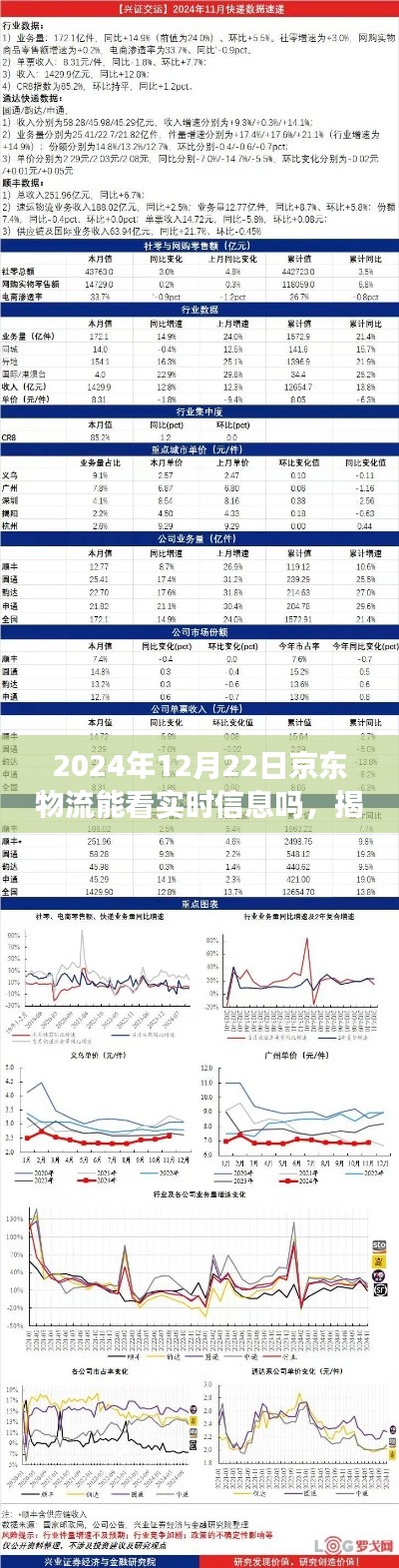 揭秘京东物流未来实时追踪功能，能否洞悉物流每一步动态至2024年12月22日？