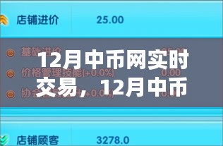 12月中币网实时交易全攻略，零基础入门到成功交易的进阶之路