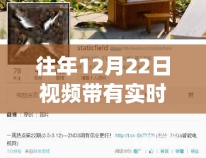 往年12月22日视频热点深度解读，实时趋势下的产品特性、用户体验与目标用户评析