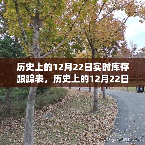 探寻自然美景的心灵之旅，历史上的12月22日库存轨迹跟踪表纪实