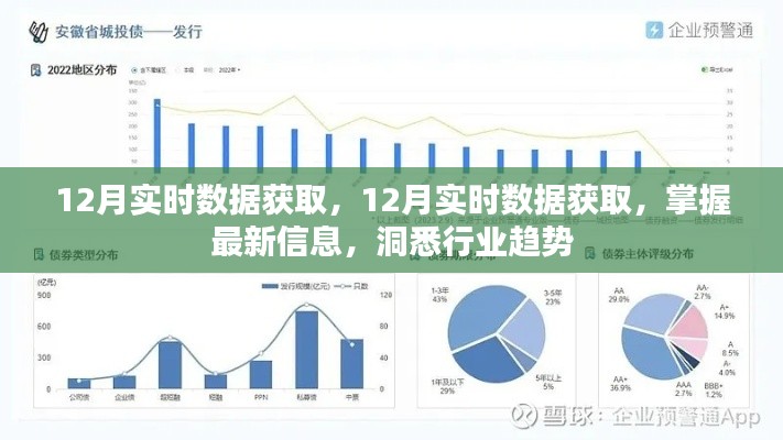 掌握最新数据，洞悉行业趋势，12月实时数据获取与分析