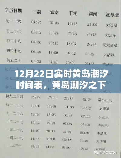 黄岛潮汐时间表揭秘，隐秘宝藏与特色小店的潮汐之旅