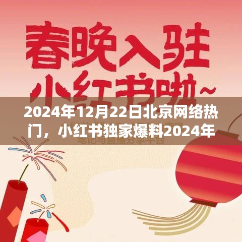 小红书独家爆料，揭秘2024年12月22日北京网络热潮大揭秘