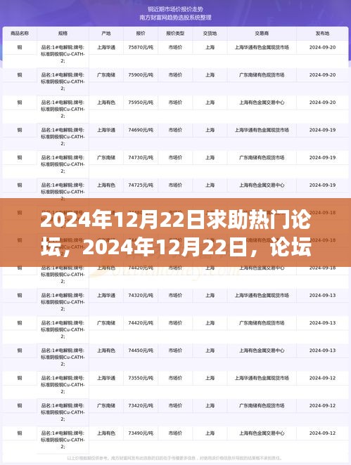 暖心故事集结论坛，友情、困境与家的温暖在2024年12月22日的论坛求助