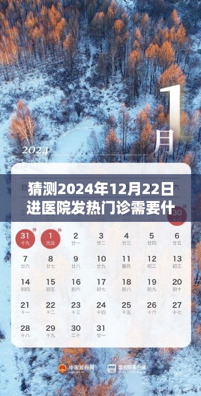 未来医疗前沿缩影，探寻发热门诊的未知与准备，2024年12月22日体验报告